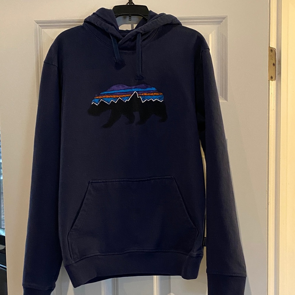 Patagonia hoodie - great condition
